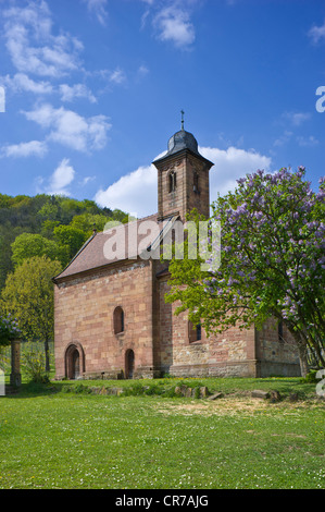 San Nicola Cappella, Klingenmuenster, Deutsche Weinstrasse, tedesco la Strada del Vino, Pfalz, Renania-Palatinato, Germania, Europa Foto Stock