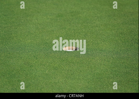 Cipro, foro di golf sul campo da golf Foto Stock