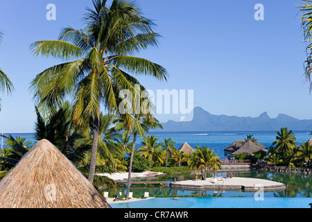 Francia, Polinesia francese, la società arcipelago, isole Windward, Tahiti, Intercontinental Hotel con l'isola di Moorea in Foto Stock