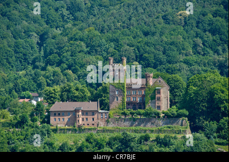 Il castello di Mittelburg, Neckarsteinach, Neckar Valley-Odenwald natura park, Hesse, Germania, Europa Foto Stock