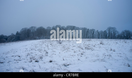 Vista di Dorking da Ranmore comune in inverno. Coperte di neve e il comune di bosco Foto Stock