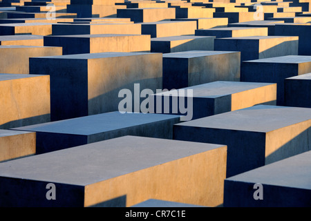 Colonne di cemento del Memoriale dell Olocausto a sunrise, Memoriale al assassinato ebrei d'Europa, architetto Peter Eisenman Foto Stock