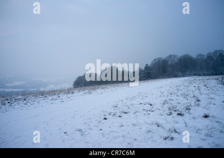 Vista di Dorking da Ranmore comune in inverno. Coperte di neve e il comune di bosco Foto Stock