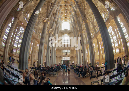 A forma di albero di pilastri e soffitto, interno della Sagrada Familia, alla Basílica i Temple Expiatori de la Sagrada Família, Basilica e Foto Stock