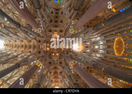 Il soffitto della chiesa, altare con un baldacchino o tettoia di stato, a forma di albero di pilastri e soffitto, interno della Sagrada Familia Foto Stock