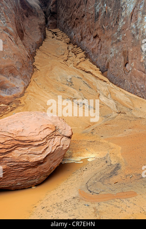 Rocce con acqua dopo il forte temporale, il Parco Nazionale di Arches, Utah, Stati Uniti d'America Foto Stock