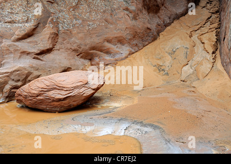 Rocce con acqua dopo il forte temporale, il Parco Nazionale di Arches, Utah, Stati Uniti d'America Foto Stock