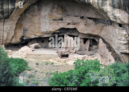 Oak Tree House, cliff dwellings dei nativi americani, circa 800 anni, il Parco Nazionale di Mesa Verde Foto Stock