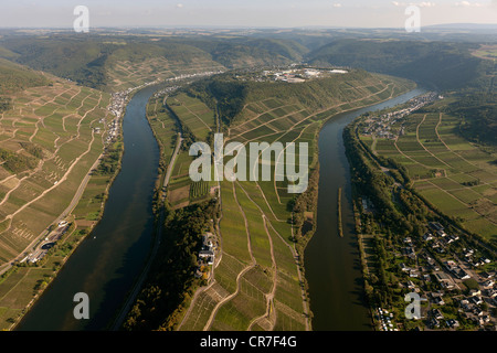 Vista aerea, Zell an der Mosel, Mosella, Puenderich, catena montuosa Eifel, Renania-Palatinato, Germania, Europa Foto Stock