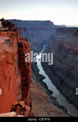 Grand Canyon North Rim nella luce del mattino, Toroweap Point, Arizona, Stati Uniti d'America Foto Stock