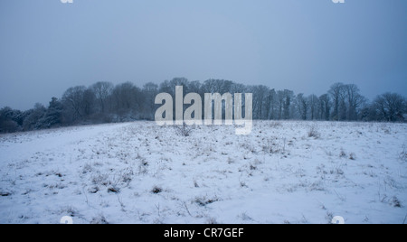 Vista di Dorking da Ranmore comune in inverno. Coperte di neve e il comune di bosco Foto Stock