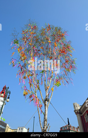 Tipicamente decorate albero di Pasqua, Praga, Boemia, Repubblica Ceca, Europa Foto Stock