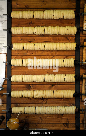 Materie trdelník pasticcini, dolce tipico, Praga, Boemia, Repubblica Ceca, Repubblica Ceca, Europa Foto Stock