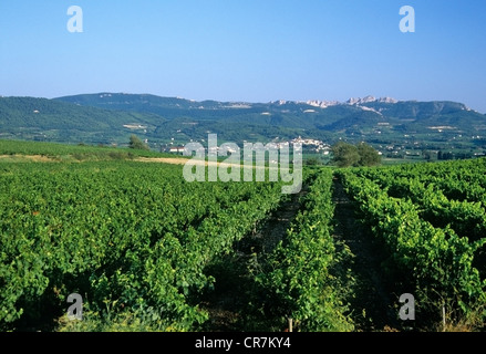 Francia Provenza Foto Stock