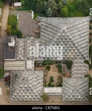 Vista aerea, serra tropicale, Gruga, al Grugapark giardino botanico vicino alla fiera di Essen il centro espositivo di Essen, la zona della Ruhr Foto Stock