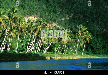Repubblica Dominicana, penisola di Samana, La Romana, Rio Chavon river Foto Stock