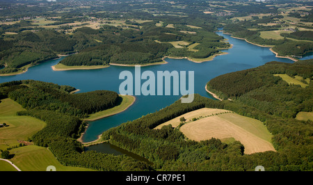 Vista aerea, Grosse Dhuenntal Dam, Rheinisch-Bergisch distretto, Renania settentrionale-Vestfalia, Germania, Europa Foto Stock