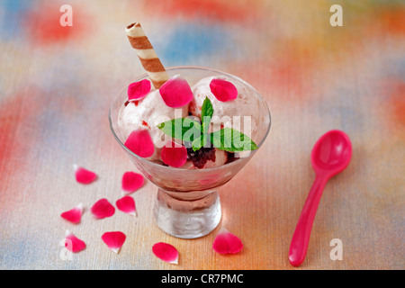 Gelato di rose e bacche rosse marmellata. Ricetta disponibile Foto Stock