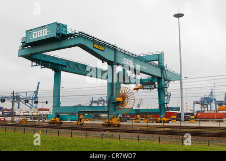 Contenitore gru, Rotterdam, Olanda, Paesi Bassi, Europa Foto Stock