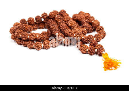 Buddista o indù, Japa mala (grani di preghiera) fatta di rudraksha isolato Foto Stock