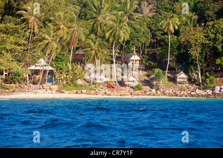 Thailandia, Provincia di Krabi, Ko Phi Phi Don Island Foto Stock