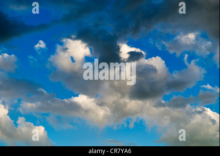 Puffy white cumulus nuvole contro un cielo blu chiaro Foto Stock