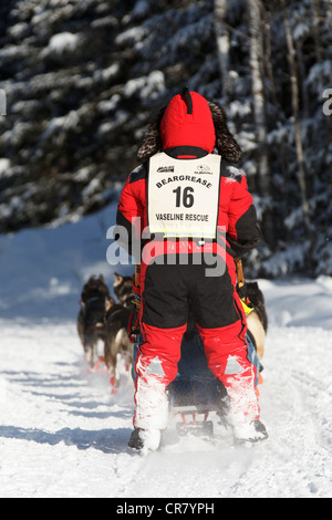 Musher Colleen Wallin compete il giorno 1 del 2011 John Beargrease Sled Dog Marathon on gennaio 30, 2011 a Duluth, Minnesota. Foto Stock