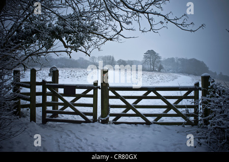 Paese congelato sul gate Ranmore comune in inverno. Coperta di neve gate nel bosco Foto Stock