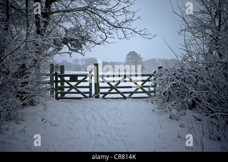 Paese congelato sul gate Ranmore comune in inverno. Coperta di neve gate nel bosco Foto Stock