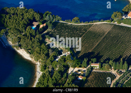 Francia, Bouches du Rhone, Cassis, Pointe de la Goye, vigneti Clos Ste Magdeleine Cassis AOC (vista aerea) Foto Stock