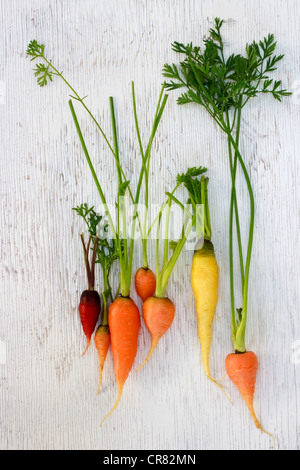 Cimelio di organico carote di colori assortiti Foto Stock