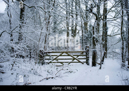 Paese congelato sul gate Ranmore comune in inverno. Coperta di neve gate nel bosco Foto Stock