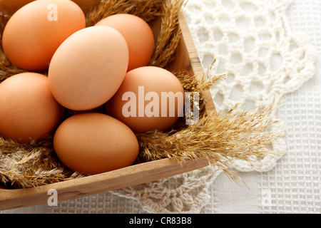 Uova di colore marrone nella ciotola di legno Foto Stock