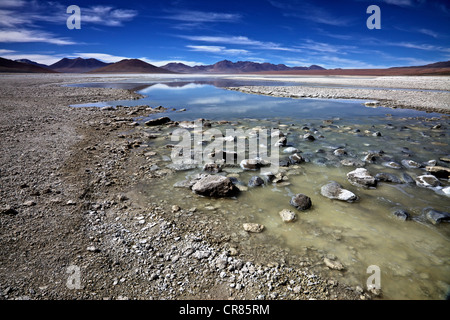 Laguna Blanca, andina eduardo abaro national park, altiplano, Potosi, sud della Bolivia, SUD AMERICA Foto Stock
