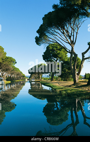 Francia, Aude, Salleles d'Aude, Canal du Midi Foto Stock