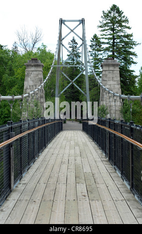 Ponte di sospensione con pavimento in legno e gli alberi in background Foto Stock