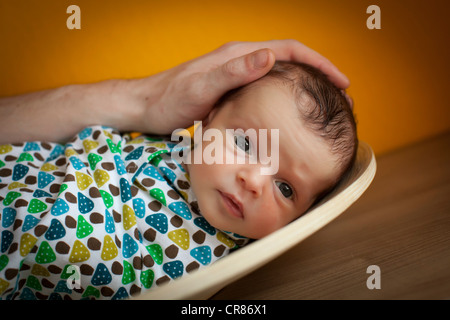 Neonato, di due settimane in una ciotola Foto Stock