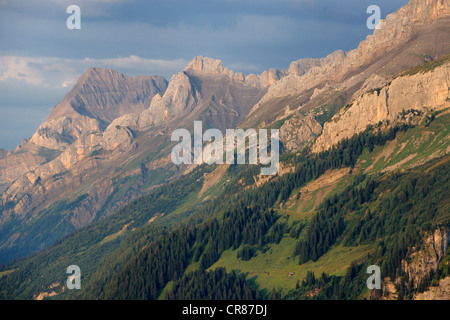 La Svizzera, nel Cantone di Vaud, Les Diablerets al Col de la Croix Foto Stock