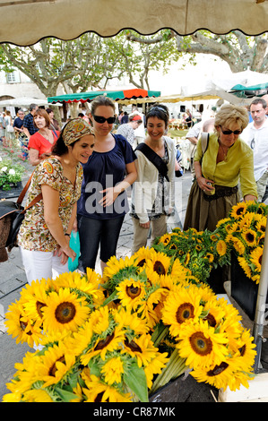 Francia Gard Uzes elencati come città di arte e storia di girasoli bouquet su Place aux Herbes mercato tra profumi di erbe di Provenza Foto Stock