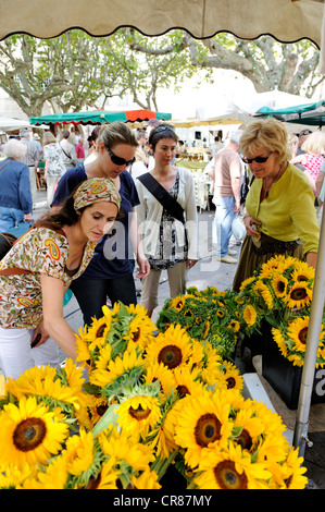 Francia Gard Uzes elencati come città di arte e storia di girasoli bouquet su Place aux Herbes mercato tra profumi di erbe di Provenza Foto Stock