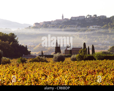 Francia, Var, La Cadiere d'Azur, Bandol aree, il villaggio nella nebbia Foto Stock