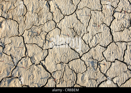 Arida superficie di suolo, Saintes-Marie-de-la-Mer, Bouches du Rhone, Camargue, Francia, Europa Foto Stock