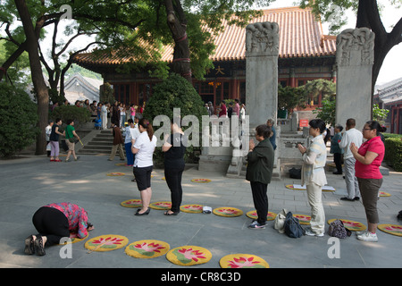 Tempio buddista, Guang-Ji tempio, Xicheng District, Pechino, Cina Foto Stock