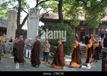 Tempio buddista, Guang-Ji tempio, Xicheng District, Pechino, Cina Foto Stock