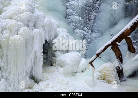 Falkau cascata, completamente congelato, Falkau, Mt Feldberg, Foresta Nera, Baden-Wuerttemberg, Germania, Europa Foto Stock