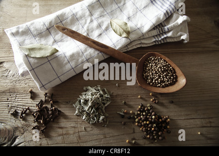 Il coriandolo (Coriandrum sativum), grani di pepe (Piper nigrum), salvia (Salvia) ed essiccato i chiodi di garofano (Syzygium aromaticum) con un di legno Foto Stock