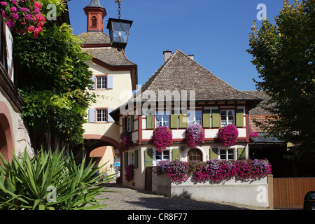 Centro storico di Burkheim im Kaiserstuhl, Baden-Wuerttemberg, Germania, Europa PublicGround Foto Stock