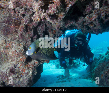 Diver al Rebreather Foto Stock