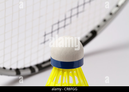 Un volano e un campo di badminton racchetta Foto Stock