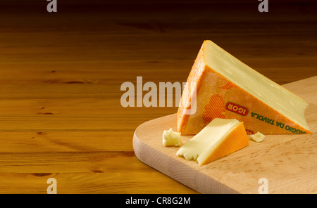 Fontina Foto Stock